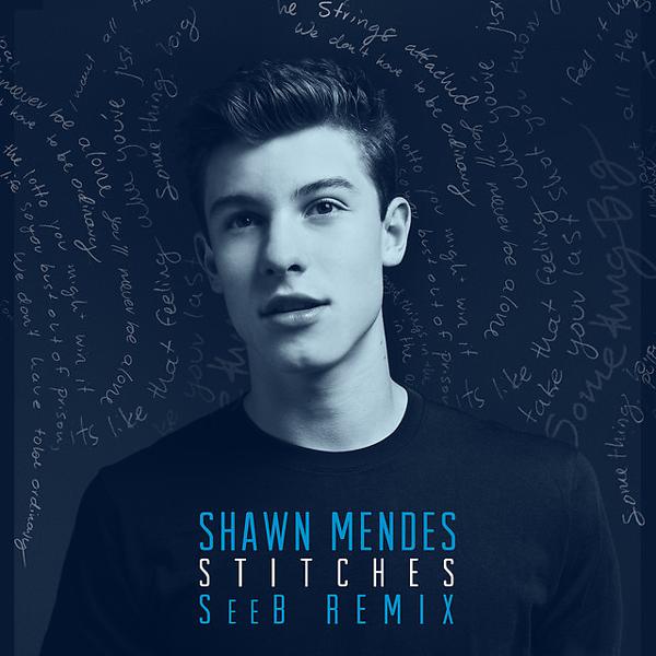 Shawn Mendes - Stitches - Seeb Remix mp3