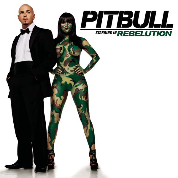 Pitbull - Dope Ball (Interlude) mp3