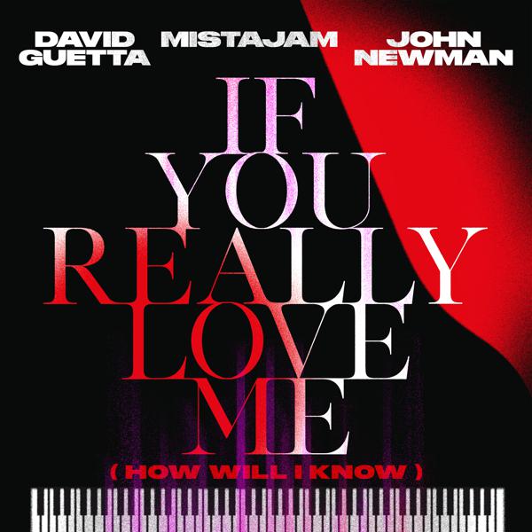 David Guetta, Mistajam, John Newman - If You Really Love Me (How Will I Know) mp3