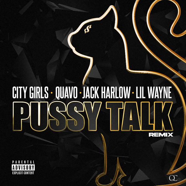 City Girls, Quavo, Lil Wayne, Jack Harlow - Pussy Talk (Remix) mp3