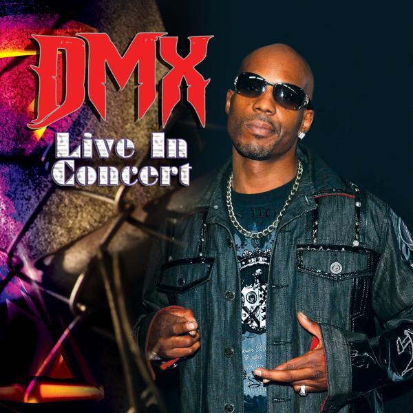 DMX - What These B**ches Want mp3