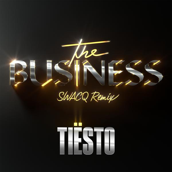 Tiësto - The Business (SWACQ Remix) mp3