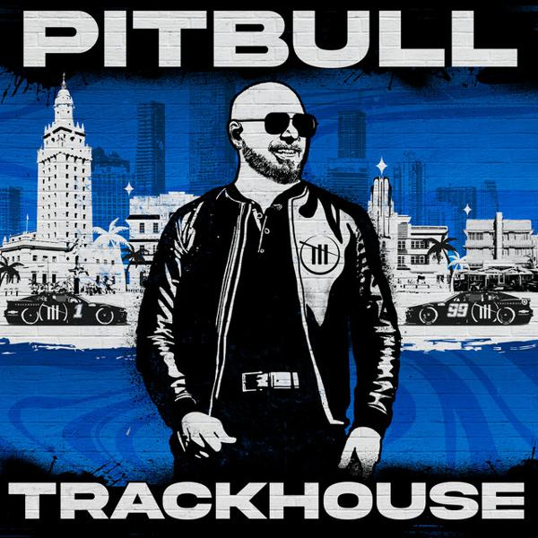 Pitbull, T-Pain, El Micha - Lit In The City mp3