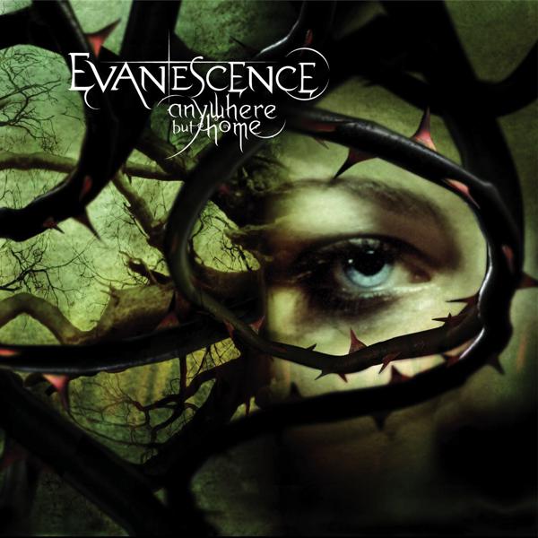 Evanescence - Haunted (Live in Europe) mp3