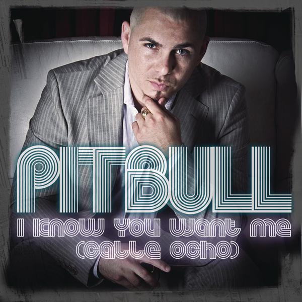 Pitbull - I Know You Want Me (Calle Ocho) (Extended Mix) mp3