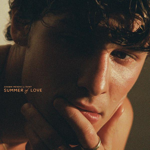 Shawn Mendes, Tainy - Summer Of Love mp3