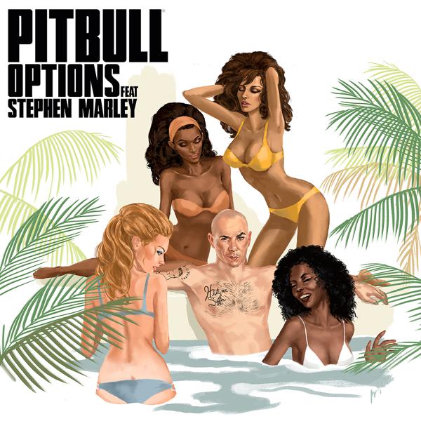 Pitbull, Stephen Marley - Options mp3