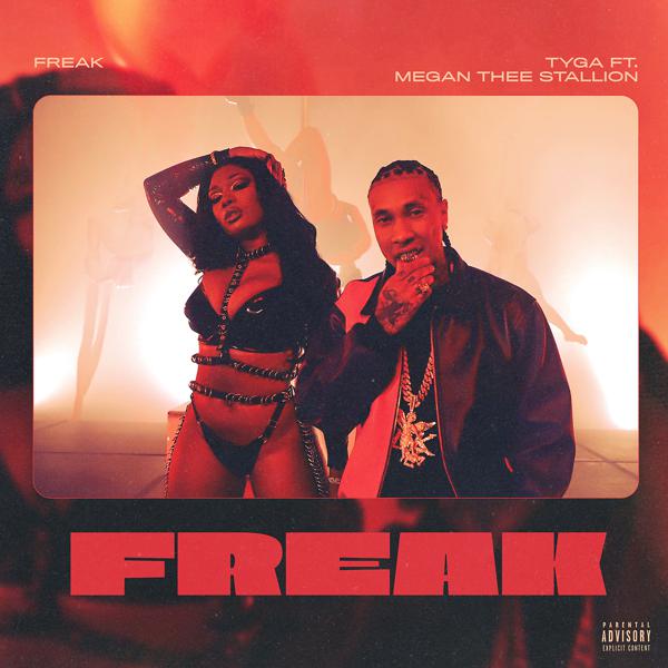 Tyga, Megan Thee Stallion - FREAK mp3