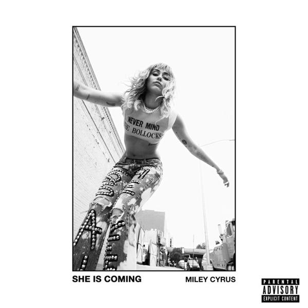 Miley Cyrus, Mike Will Made-It, Swae Lee - Party Up The Street mp3