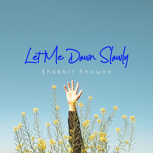 Shabbir Showne, Alec Benjamin - Let Me Down Slowly (Lofi Remix) mp3