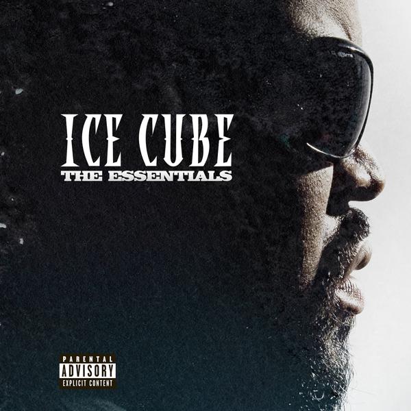 Ice Cube, Lil Jon, Snoop Dogg - Go To Church mp3