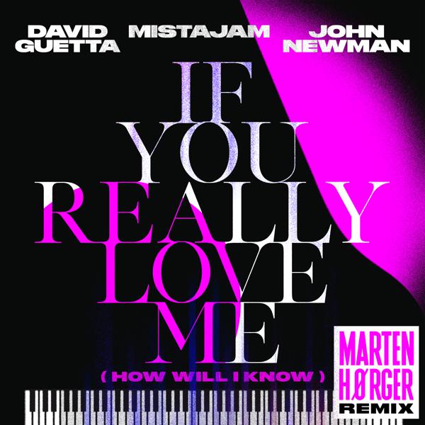 David Guetta, Mistajam, John Newman - If You Really Love Me (How Will I Know) [Marten Hørger Remix Extended] mp3