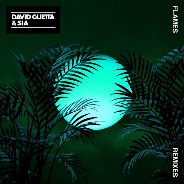 David Guetta, Sia - Flames (Tepr Remix) mp3