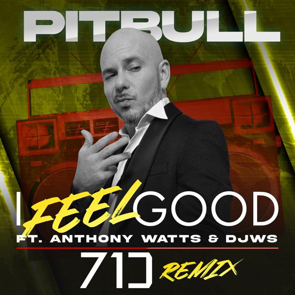 Pitbull, Anthony Watts, DJWS - I Feel Good (71 Digits Remix) mp3