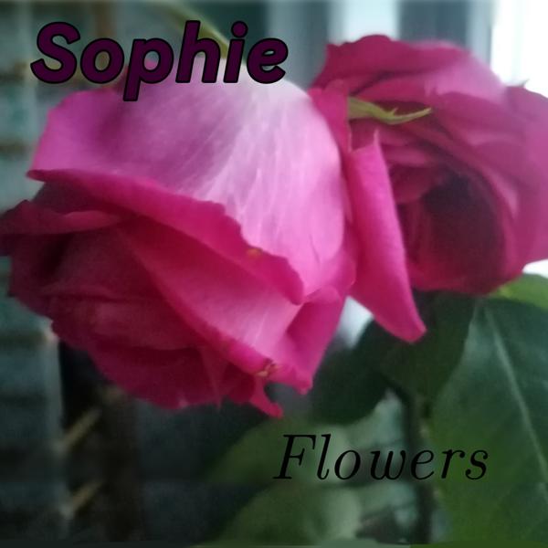 Sophie songs listen or download mp3