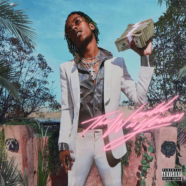 Rich The Kid, Chris Brown - Drippin mp3