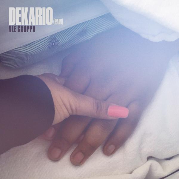 NLE Choppa - Dekario (Pain) mp3