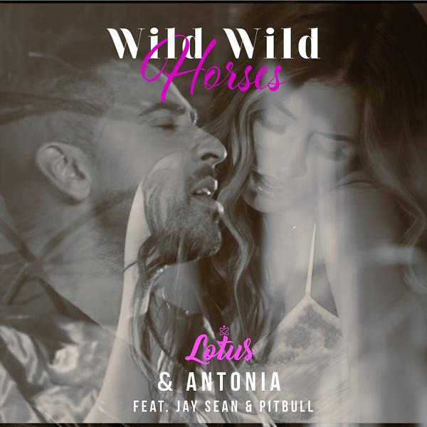 Lotus, Antonia, Jay Sean, Pitbull - Wild Wild Horses (Bodybangers Extended Remix) mp3