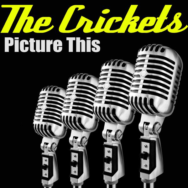 The Crickets, J.I. Allison, Sony Curtis, Joe B Mauldin, Glen D. Hardin, Stuart Colman, Nanci Griffith, Jay McDowell, Fats Kaplan, Neil Thrasher, Kelly Schiver, David Neely, Geoff Barker, Bob Solomons, Chris Stone, Skillet - Do You Want To Be Loved (With N