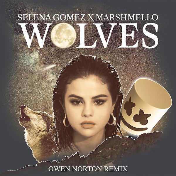 Selena Gomez, Marshmello - Wolves - Owen Norton Remix mp3