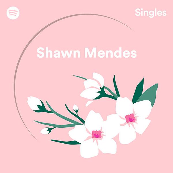 Shawn Mendes - Use Somebody - Recorded at Spotify Studios NYC mp3