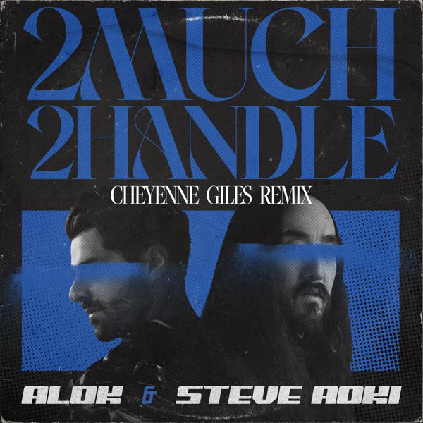 Alok, Steve Aoki - 2 Much 2 Handle (Cheyenne Giles Remix) mp3