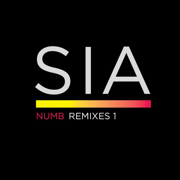 Sia - Numb (Paradise Soul Remix Pt 1) mp3