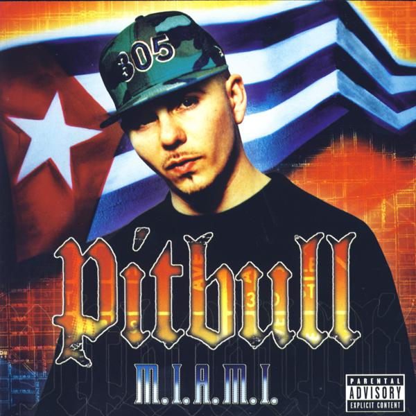 Pitbull, Lil Jon, Fat Joe - That's Nasty mp3