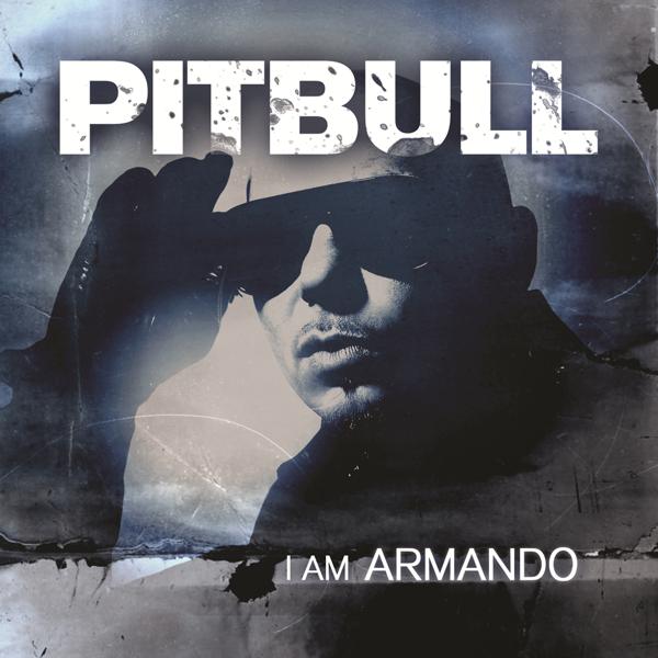 Pitbull, Afrojack - Maldito Alcohol (Pitbull vs. Afrojack) mp3