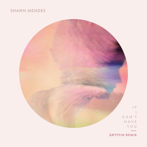 Shawn Mendes, Gryffin - If I Can't Have You (Gryffin Remix) mp3