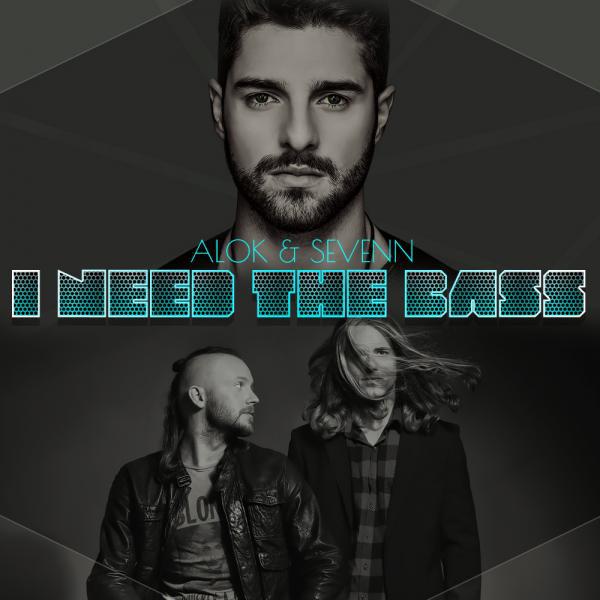 Alok, Sevenn - I Need The Bass mp3