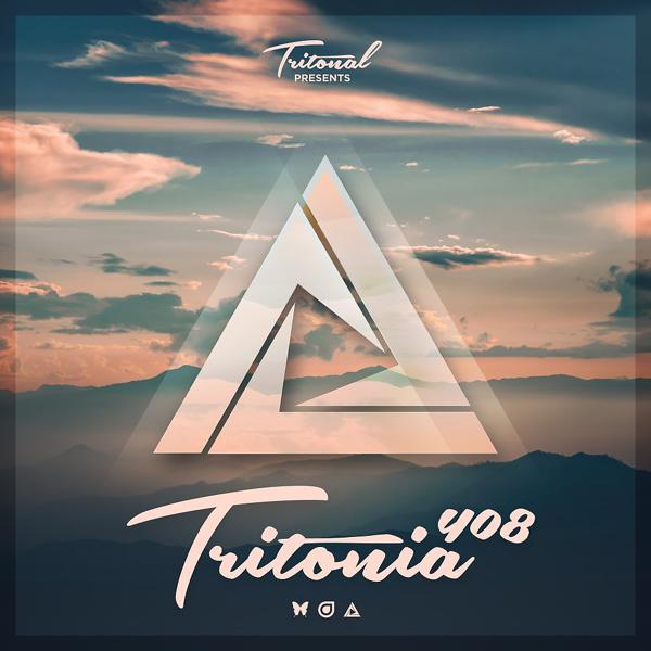 Armin Van Buuren, Wildstylez, Pollyanna - Typically Dutch (Tritonia 408) (VIP Mix) mp3