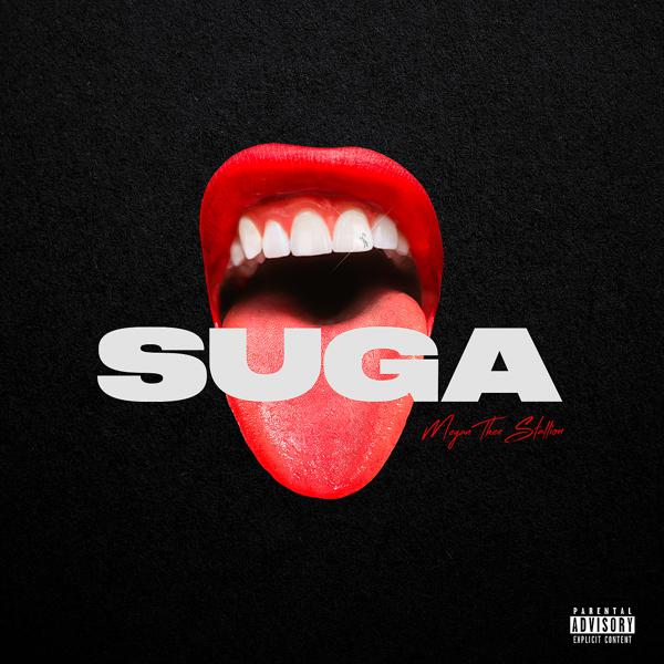 Megan Thee Stallion, Gunna - Stop Playing (feat. Gunna) mp3