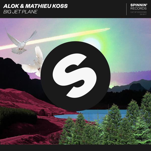 Alok, Mathieu Koss - Big Jet Plane mp3