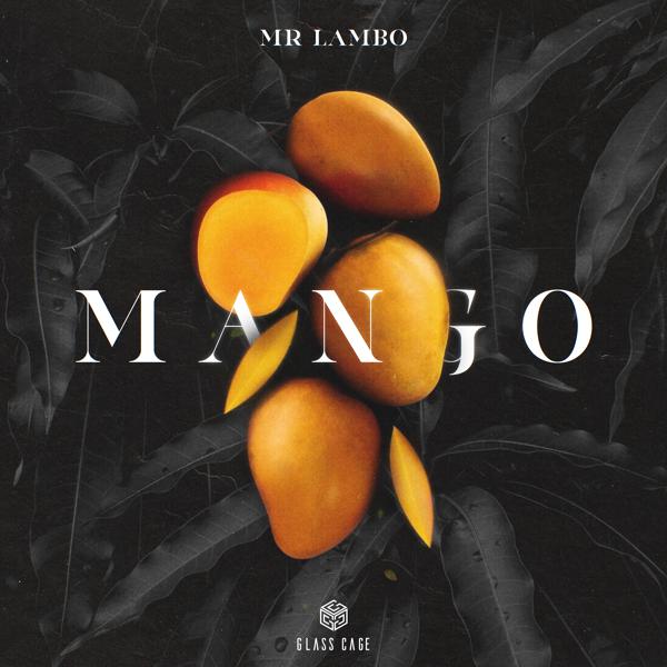 Mr Lambo - Mango mp3