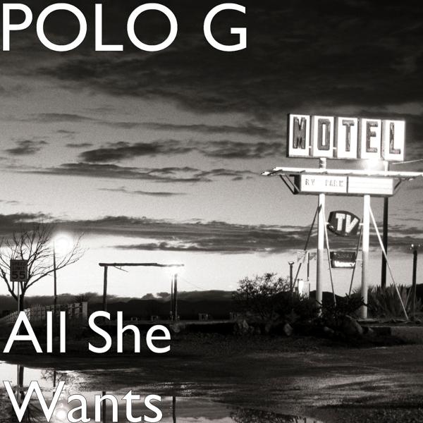 Polo G - All She Wants mp3