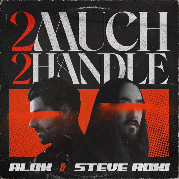 Alok, Steve Aoki - 2 Much 2 Handle mp3