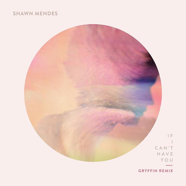 Shawn Mendes, Gryffin - If I Can't Have You - Gryffin Remix mp3