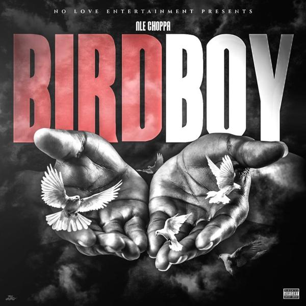 NLE Choppa - BIRDBOY mp3