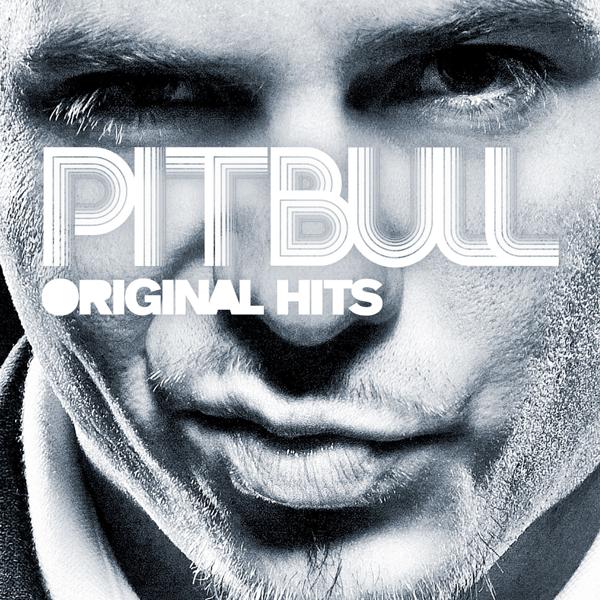 Pitbull - Hey You Girl mp3