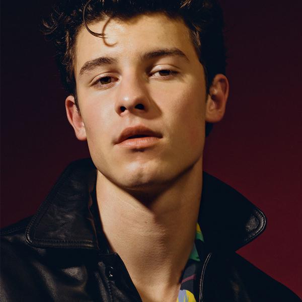 Shawn Mendes songs listen or download mp3