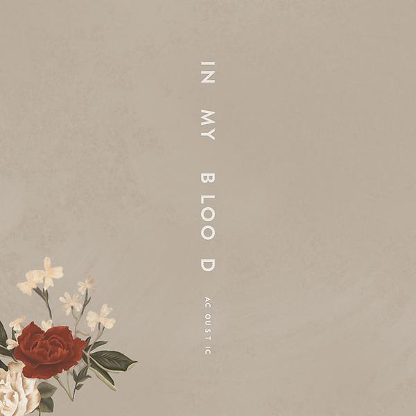 Shawn Mendes - In My Blood - Acoustic mp3