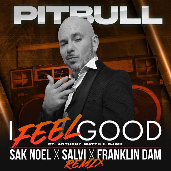 Pitbull, Anthony Watts, DJWS - I Feel Good (Sak Noel X Salvi X Franklin Dam Remix) mp3