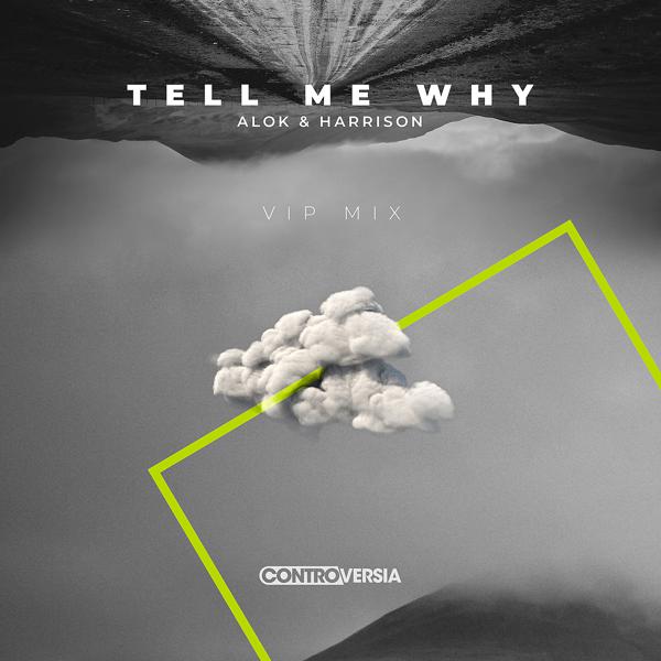 Alok, Harrison - Tell Me Why (VIP Mix) mp3