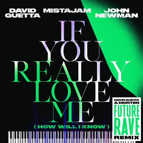 David Guetta, Mistajam, John Newman - If You Really Love Me (How Will I Know) [David Guetta & MORTEN Future Rave Remix Extended] mp3