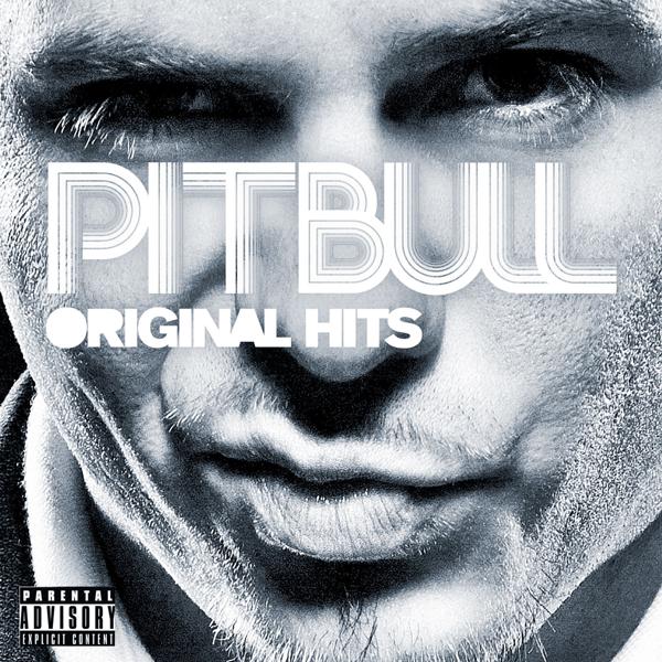 Pitbull, Fat Joe, Sinful - Que Tu Sabes D'eso mp3