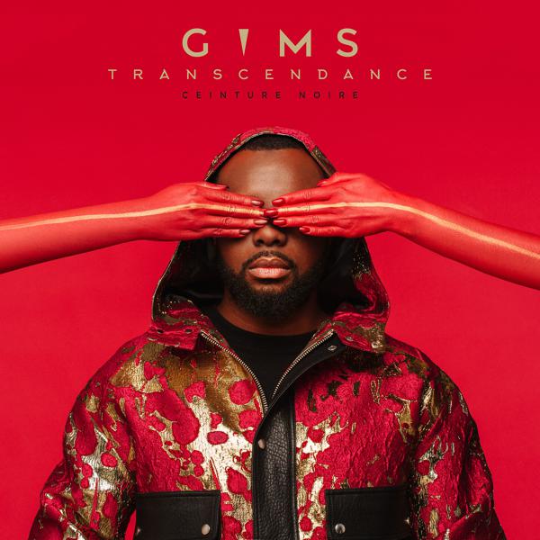 Maitre Gims, J Balvin - Pirate mp3